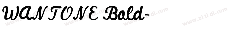 WANTONE Bold字体转换